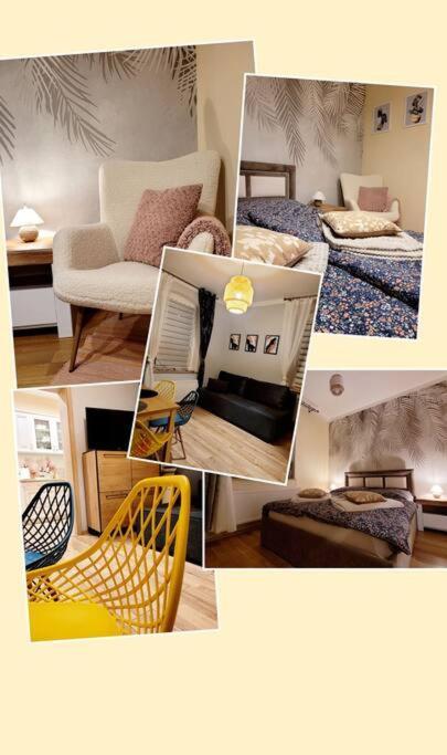 Apartmán Baja Karpacz